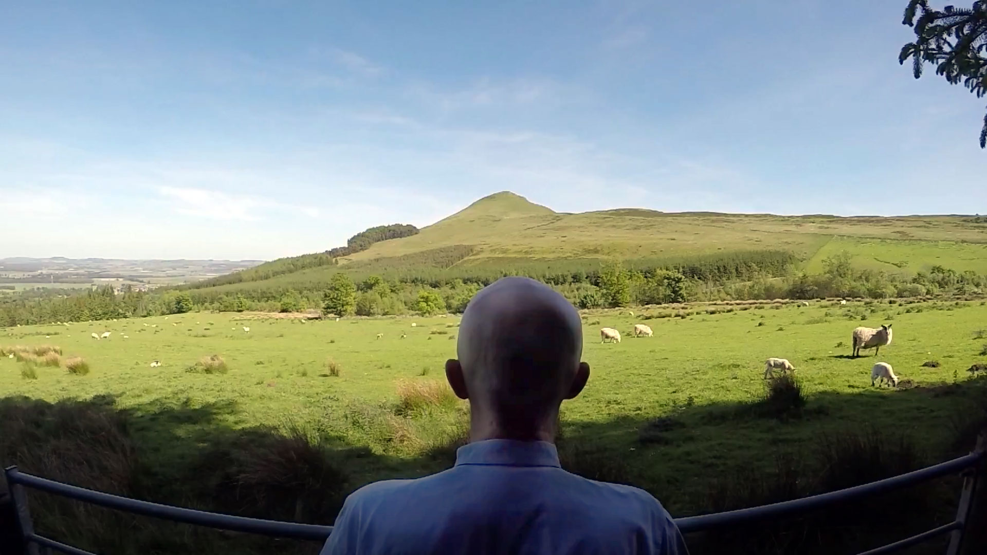 Journal | Ian Crichton Wallace